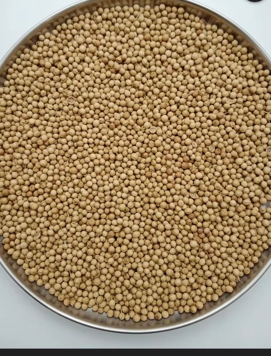 سفارش خرید گشنیز کنگاور جهت تامین محموله های حجیم انبارداری